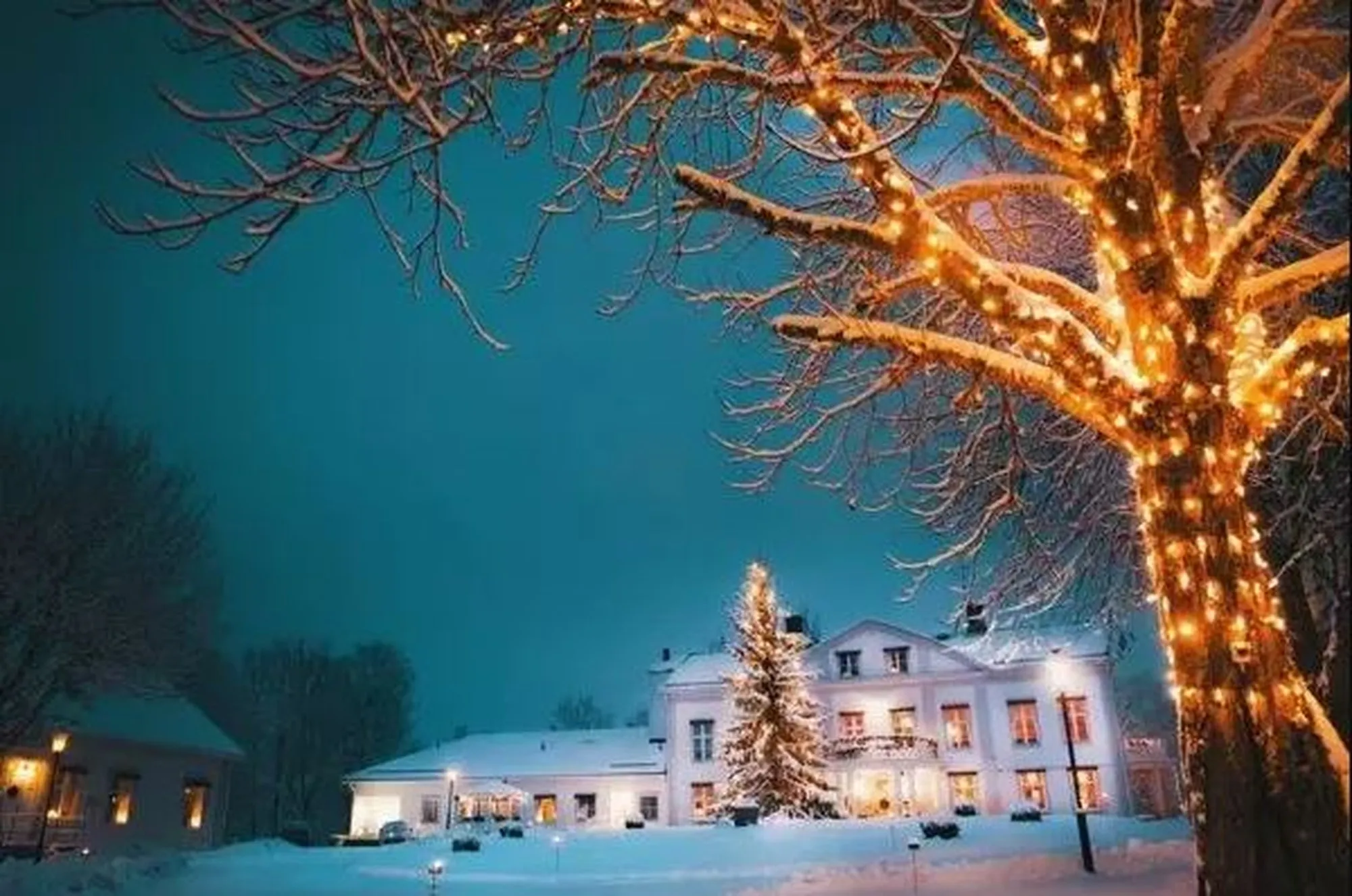 En vit herrgård en snöig vinterkväll med upplysta fönster, en julgran och ett träd fullt av ljusslingor.